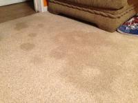 Carpet Cleaning Brighton image 3